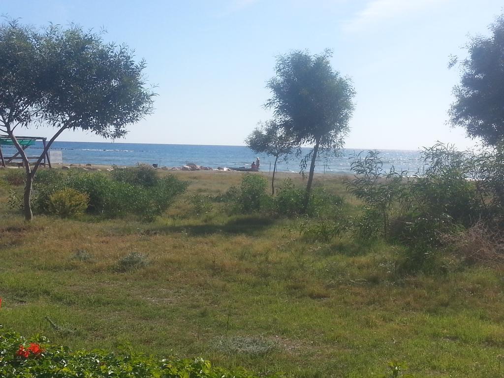 Kermia Beach Apartment Larnaca Room photo